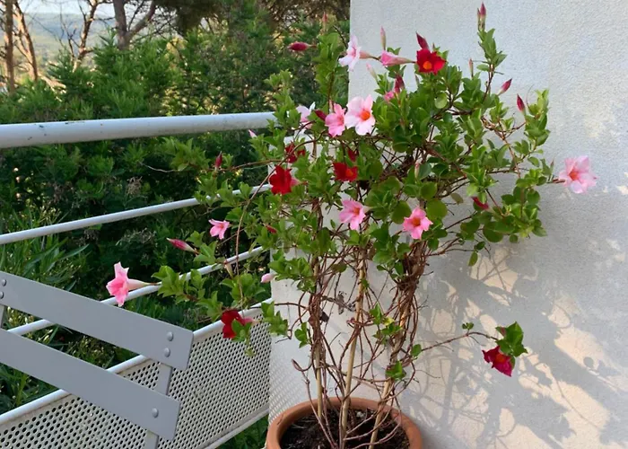Appartement Duplex La Ciotat